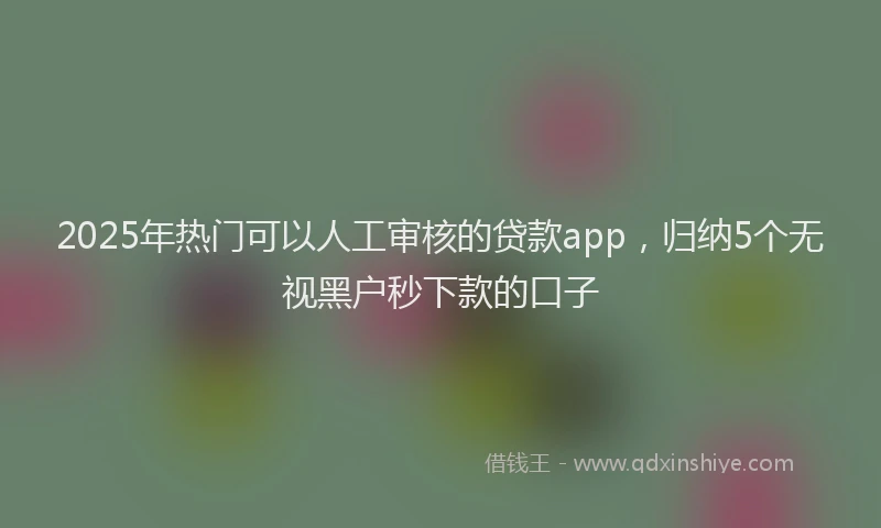 2025年热门可以人工审核的贷款app，归纳5个无视黑户秒下款的口子
