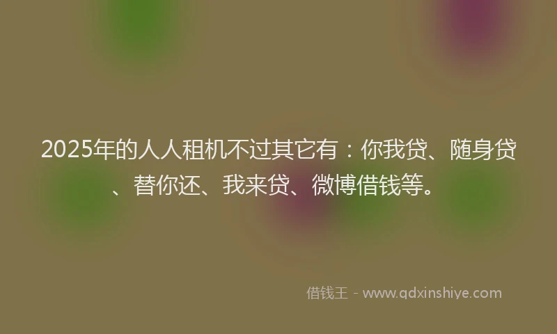 2025年的人人租机不过其它有：你我贷、随身贷、替你还、我来贷、微博借钱等。