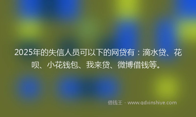 2025年的失信人员可以下的网贷有：滴水贷、花呗、小花钱包、我来贷、微博借钱等。