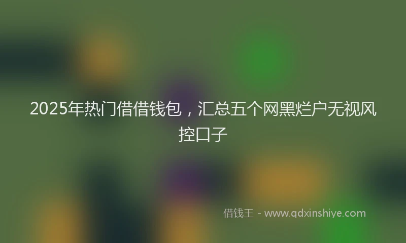 2025年热门借借钱包，汇总五个网黑烂户无视风控口子