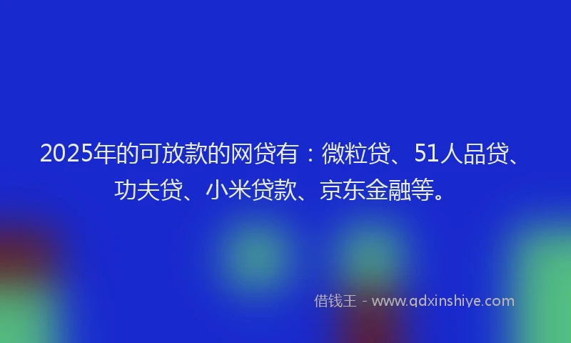 2025年的可放款的网贷有：微粒贷、51人品贷、功夫贷、小米贷款、京东金融等。