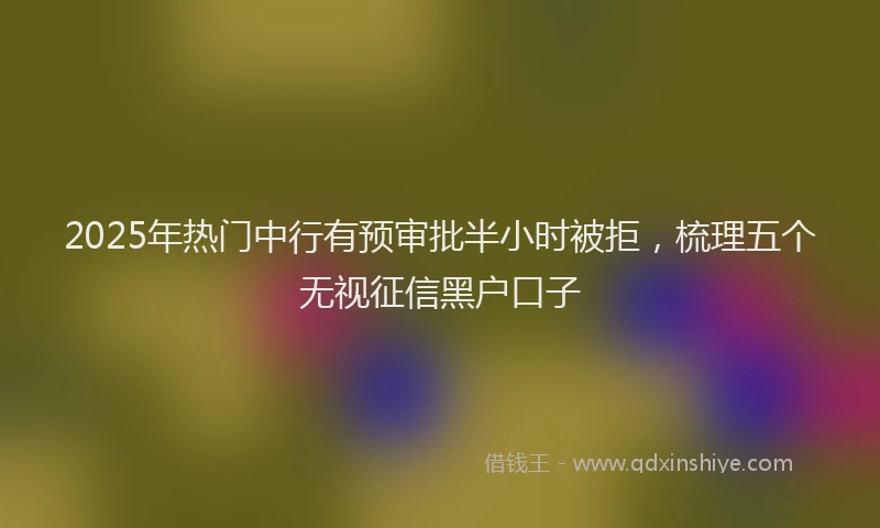2025年热门中行有预审批半小时被拒，梳理五个无视征信黑户口子
