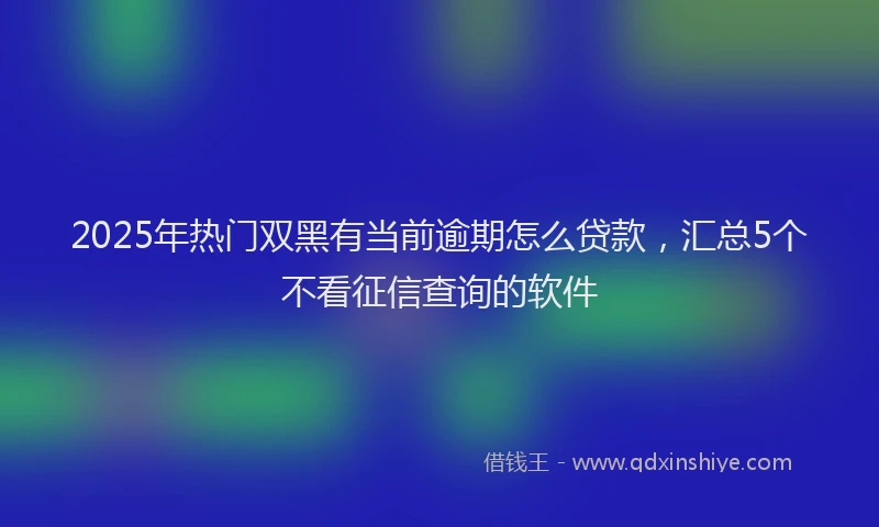 2025年热门双黑有当前逾期怎么贷款，汇总5个不看征信查询的软件