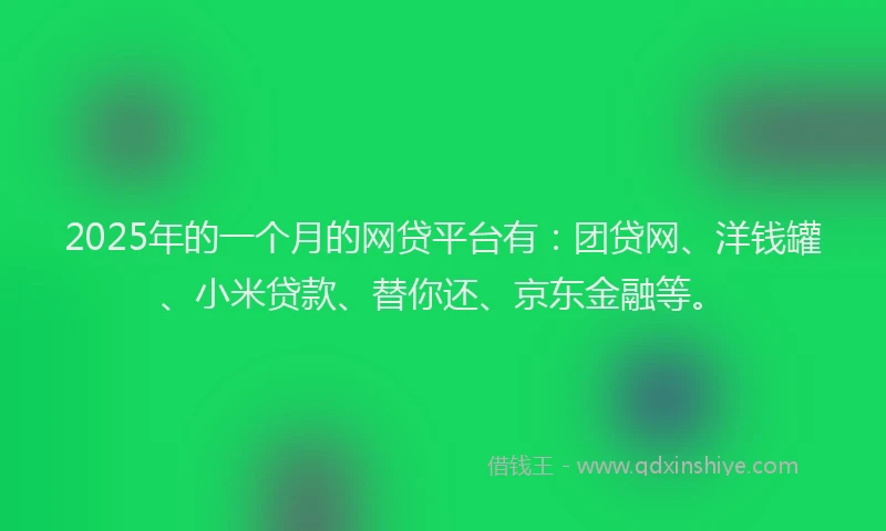 2025年的一个月的网贷平台有：团贷网、洋钱罐、小米贷款、替你还、京东金融等。