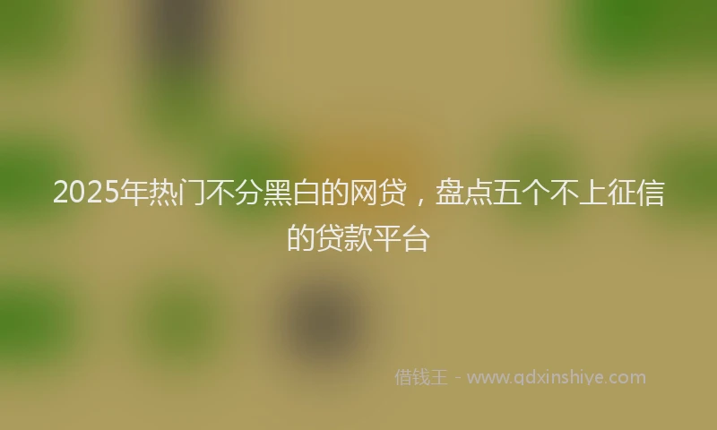 2025年热门不分黑白的网贷，盘点五个不上征信的贷款平台