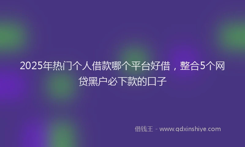 2025年热门个人借款哪个平台好借，整合5个网贷黑户必下款的口子