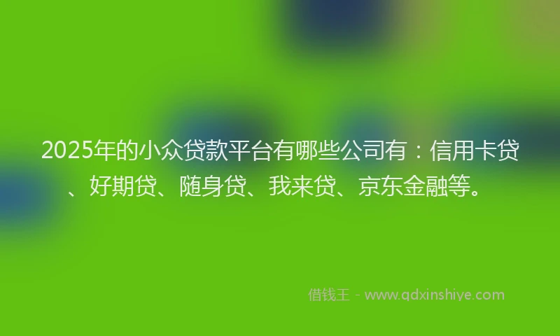 2025年的小众贷款平台有哪些公司有:信用卡贷、好期贷、随身贷、我来贷、京东金融等。