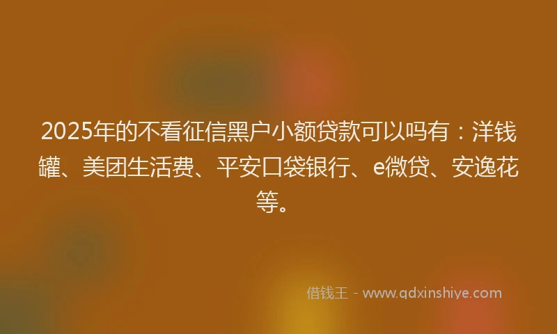 2025年的不看征信黑户小额贷款可以吗有：洋钱罐、美团生活费、平安口袋银行、e微贷、安逸花等。
