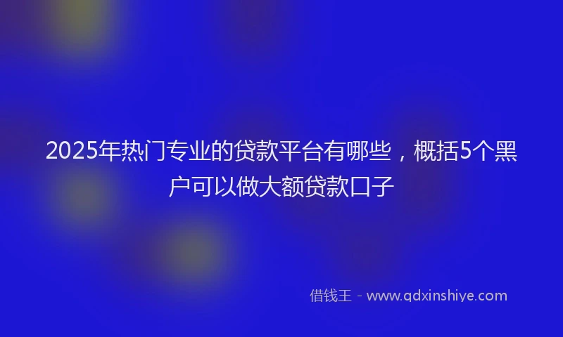 2025年热门专业的贷款平台有哪些，概括5个黑户可以做大额贷款口子