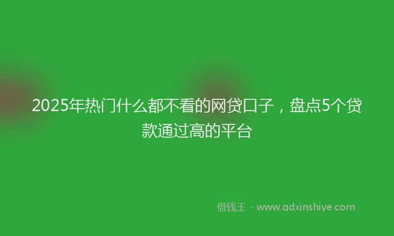2025年热门什么都不看的网贷口子，盘点5个贷款通过高的平台