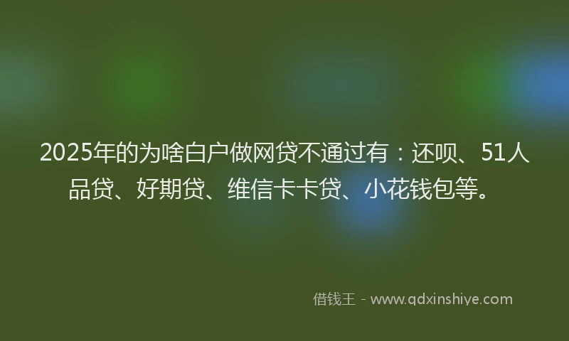 2025年的为啥白户做网贷不通过有：还呗、51人品贷、好期贷、维信卡卡贷、小花钱包等。