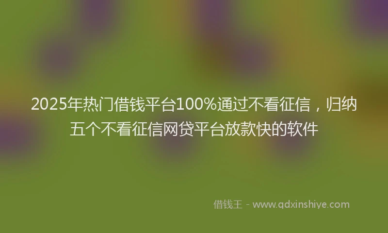 2025年热门借钱平台100%通过不看征信，归纳五个不看征信网贷平台放款快的软件