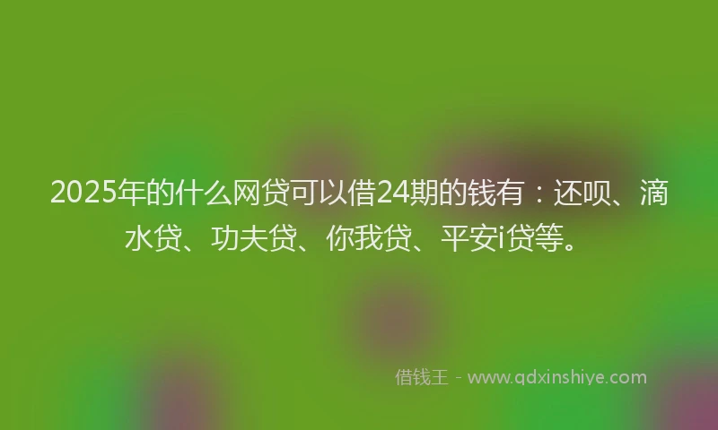 2025年的什么网贷可以借24期的钱有：还呗、滴水贷、功夫贷、你我贷、平安i贷等。