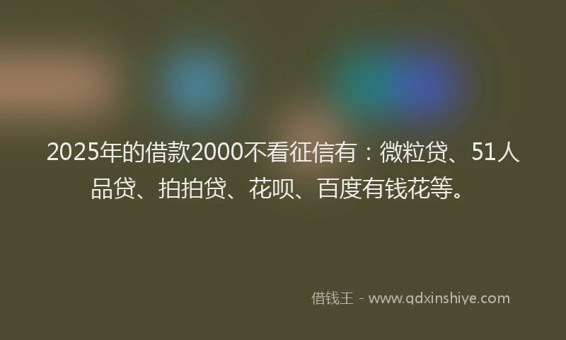 2025年的借款2000不看征信有：微粒贷、51人品贷、拍拍贷、花呗、百度有钱花等。