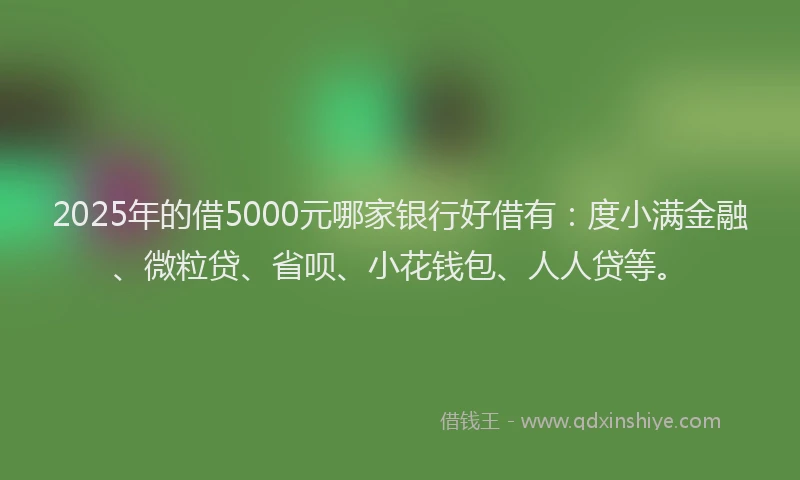 2025年的借5000元哪家银行好借有：度小满金融、微粒贷、省呗、小花钱包、人人贷等。