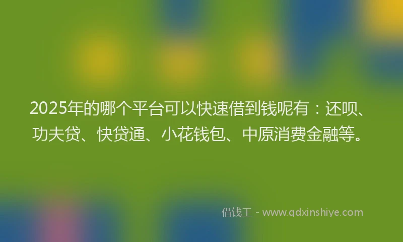 2025年的哪个平台可以快速借到钱呢有：还呗、功夫贷、快贷通、小花钱包、中原消费金融等。