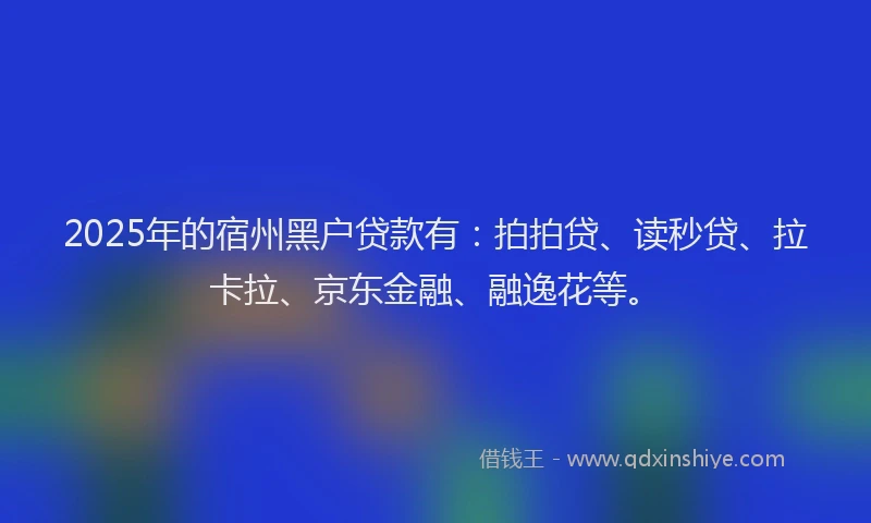 2025年的宿州黑户贷款有：拍拍贷、读秒贷、拉卡拉、京东金融、融逸花等。