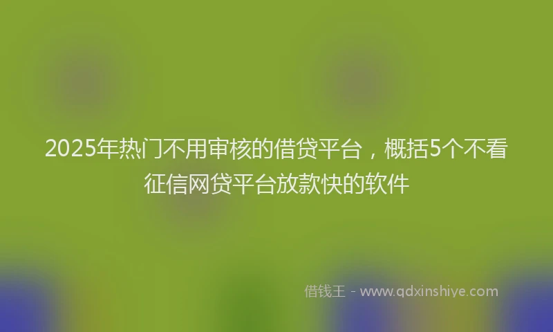 2025年热门不用审核的借贷平台，概括5个不看征信网贷平台放款快的软件
