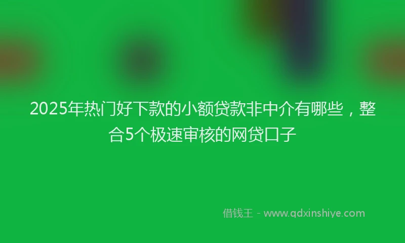 2025年热门好下款的小额贷款非中介有哪些，整合5个极速审核的网贷口子