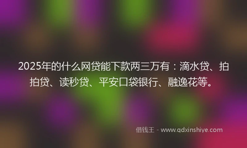2025年的什么网贷能下款两三万有：滴水贷、拍拍贷、读秒贷、平安口袋银行、融逸花等。