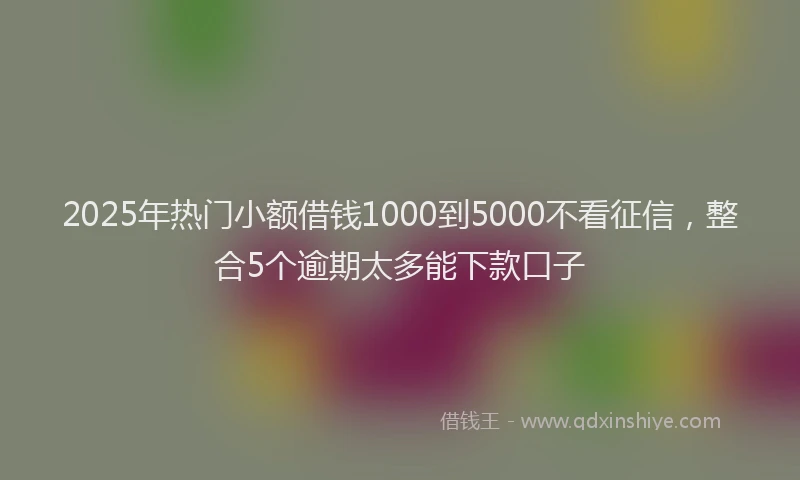 2025年热门小额借钱1000到5000不看征信，整合5个逾期太多能下款口子