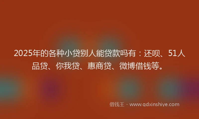 2025年的各种小贷别人能贷款吗有：还呗、51人品贷、你我贷、惠商贷、微博借钱等。
