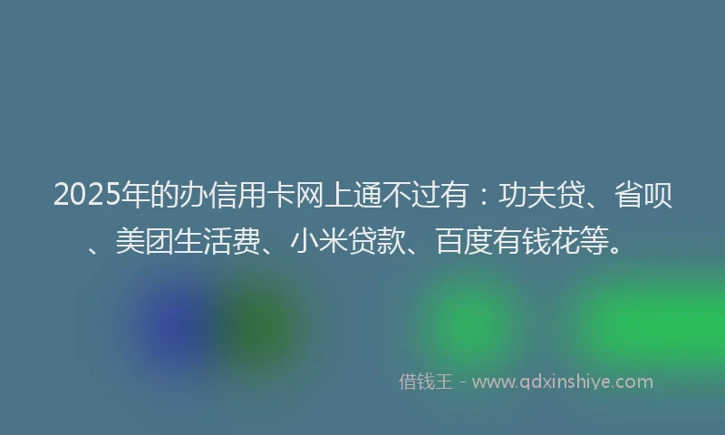 2025年的办信用卡网上通不过有：功夫贷、省呗、美团生活费、小米贷款、百度有钱花等。