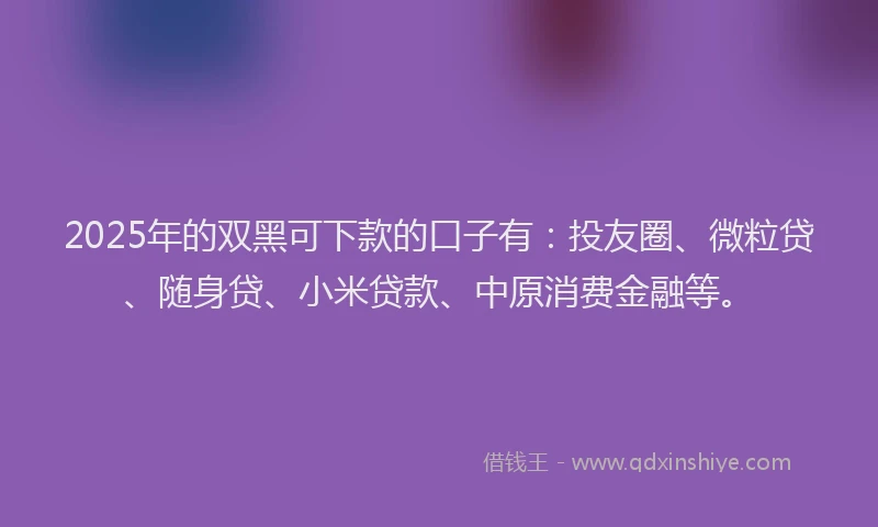 2025年的双黑可下款的口子有：投友圈、微粒贷、随身贷、小米贷款、中原消费金融等。