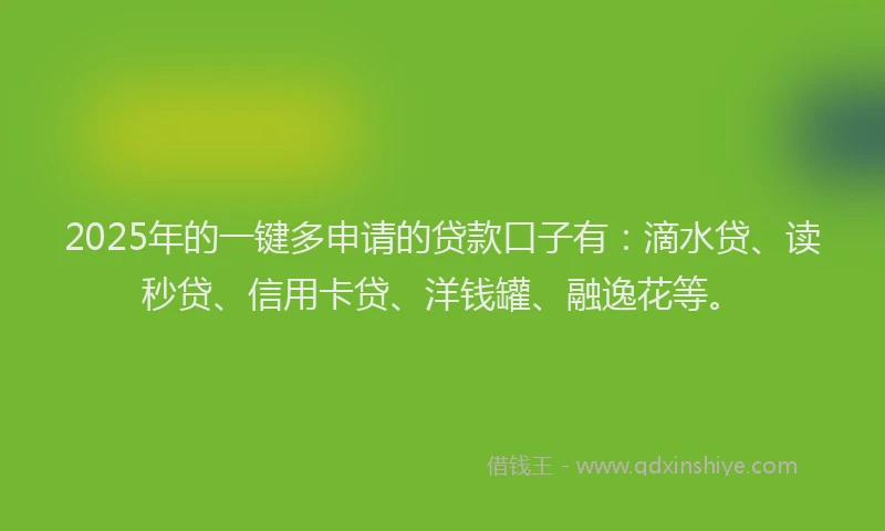 2025年的一键多申请的贷款口子有：滴水贷、读秒贷、信用卡贷、洋钱罐、融逸花等。