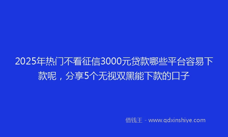 2025年热门不看征信3000元贷款哪些平台容易下款呢，分享5个无视双黑能下款的口子