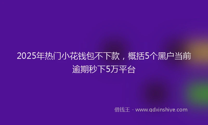 2025年热门小花钱包不下款，概括5个黑户当前逾期秒下5万平台