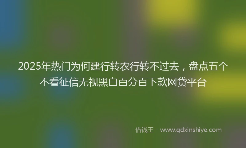 2025年热门为何建行转农行转不过去，盘点五个不看征信无视黑白百分百下款网贷平台