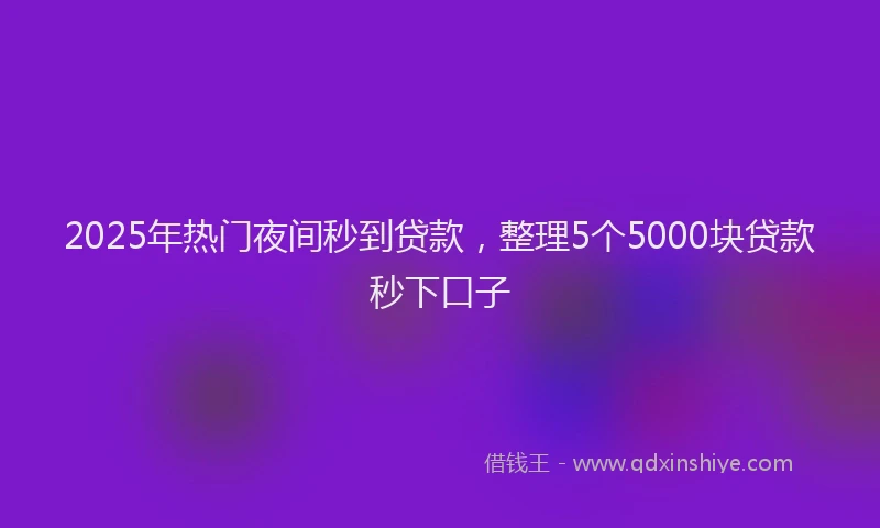 2025年热门夜间秒到贷款，整理5个5000块贷款秒下口子