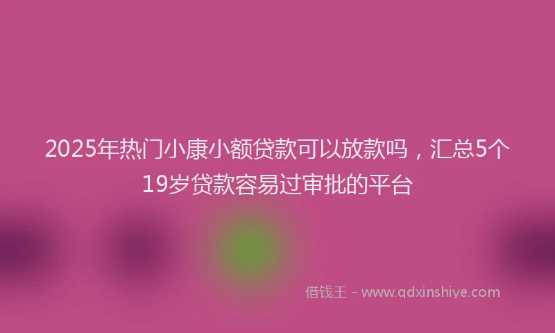 2025年热门小康小额贷款可以放款吗,汇总5个19岁贷款容易过审批的平台