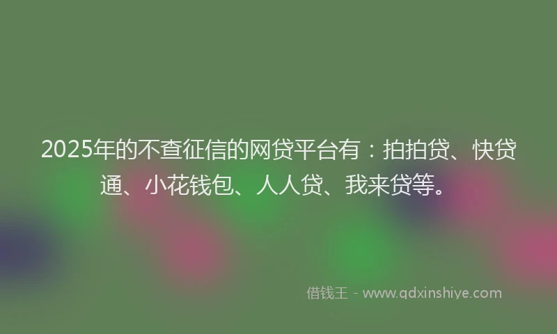 2025年的不查征信的网贷平台有：拍拍贷、快贷通、小花钱包、人人贷、我来贷等。
