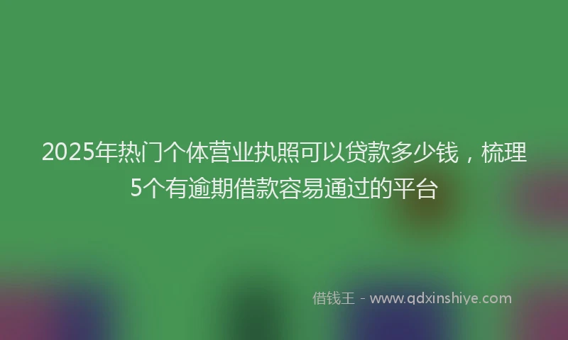 2025年热门个体营业执照可以贷款多少钱，梳理5个有逾期借款容易通过的平台