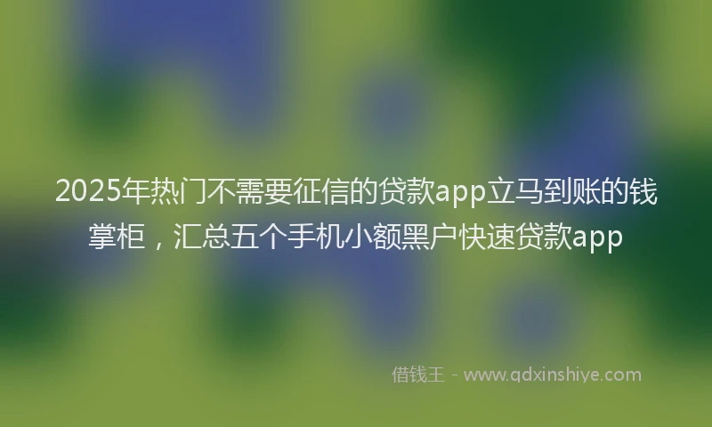 2025年热门不需要征信的贷款app立马到账的钱掌柜，汇总五个手机小额黑户快速贷款app