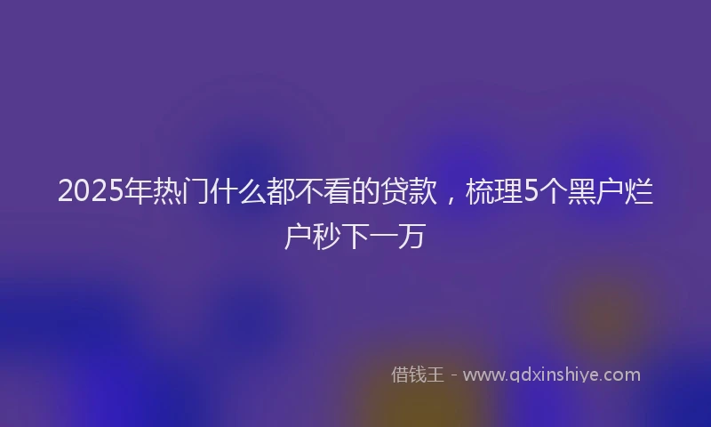 2025年热门什么都不看的贷款，梳理5个黑户烂户秒下一万