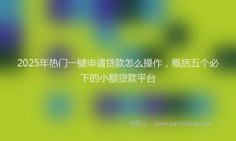 2025年热门一键申请贷款怎么操作，概括五个必下的小额贷款平台