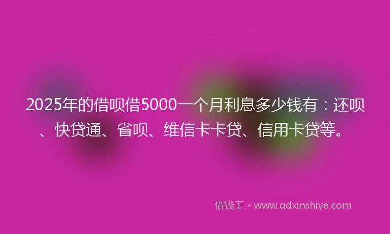 2025年的借呗借5000一个月利息多少钱有：还呗、快贷通、省呗、维信卡卡贷、信用卡贷等。