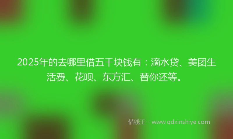 2025年的去哪里借五千块钱有:滴水贷、美团生活费、花呗、东方汇、替你还等。