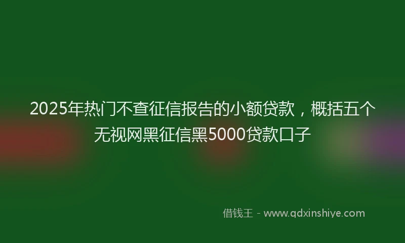 2025年热门不查征信报告的小额贷款，概括五个无视网黑征信黑5000贷款口子