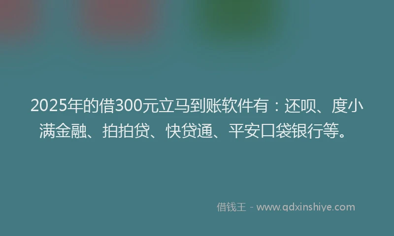 2025年的借300元立马到账软件有：还呗、度小满金融、拍拍贷、快贷通、平安口袋银行等。