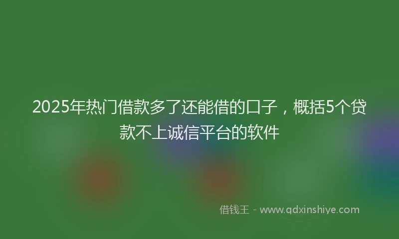 2025年热门借款多了还能借的口子，概括5个贷款不上诚信平台的软件