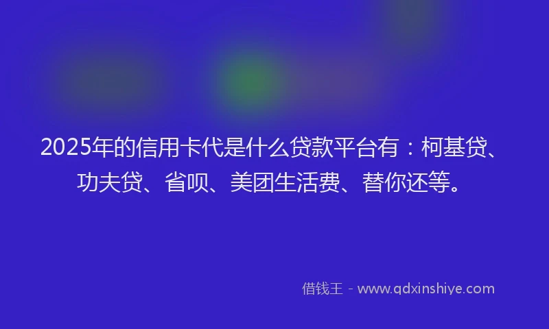 2025年的信用卡代是什么贷款平台有：柯基贷、功夫贷、省呗、美团生活费、替你还等。