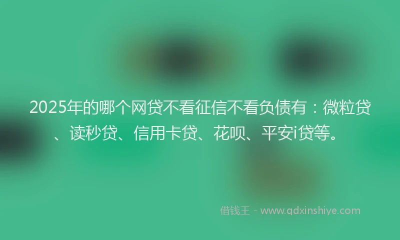 2025年的哪个网贷不看征信不看负债有：微粒贷、读秒贷、信用卡贷、花呗、平安i贷等。
