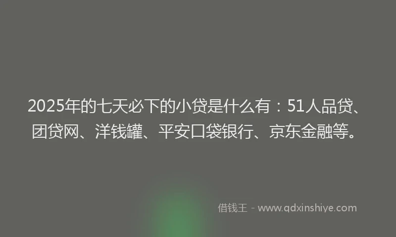 2025年的七天必下的小贷是什么有：51人品贷、团贷网、洋钱罐、平安口袋银行、京东金融等。