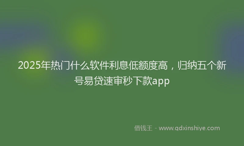 2025年热门什么软件利息低额度高，归纳五个新号易贷速审秒下款app