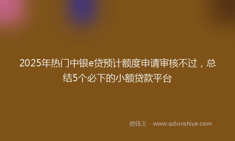 2025年热门中银e贷预计额度申请审核不过，总结5个必下的小额贷款平台