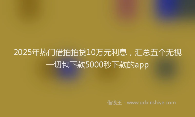 2025年热门借拍拍贷10万元利息，汇总五个无视一切包下款5000秒下款的app